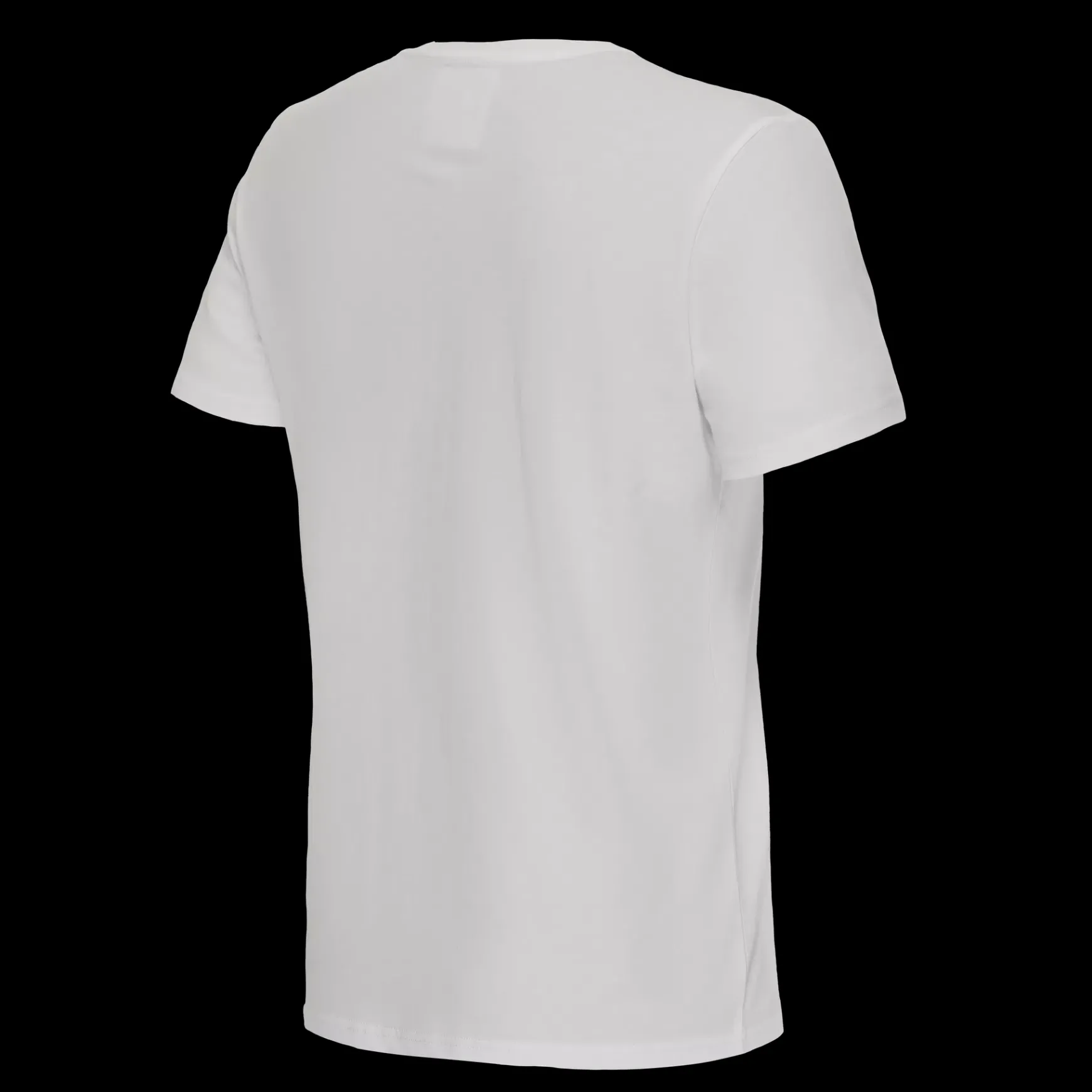 Dainese ESSENCE WORDMARK - RUNDHALS T SHIRT HERREN NORTHERN DROPLET Clearance